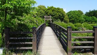 音止めの滝の上流