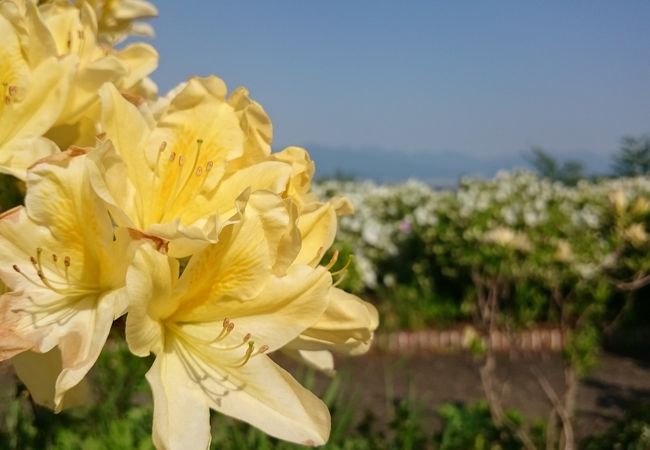 寒河江公園 クチコミ アクセス 営業時間 寒河江 フォートラベル 寒河江公園 クチコミ アクセス 営業時間 寒河江 フォートラベル