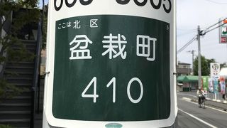 若い人も大勢来訪しています。