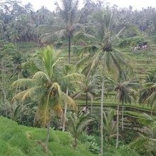 斜面に人がいっぱい