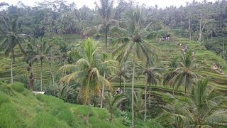 観光地化しすぎ