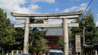 高さ約１０メートル