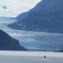 遠くに見えました