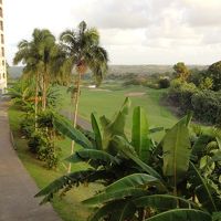 朝フェアウェーviewが気持ち良い