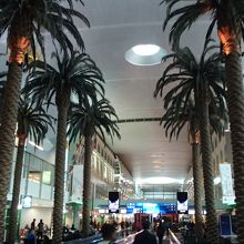 ドーハもこのドバイの空港も中東の空港は設備が豪華です。