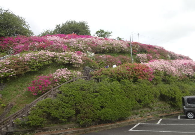 GWはカラフルです。