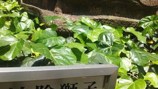 大きな獅子のオブジェに驚かれます。