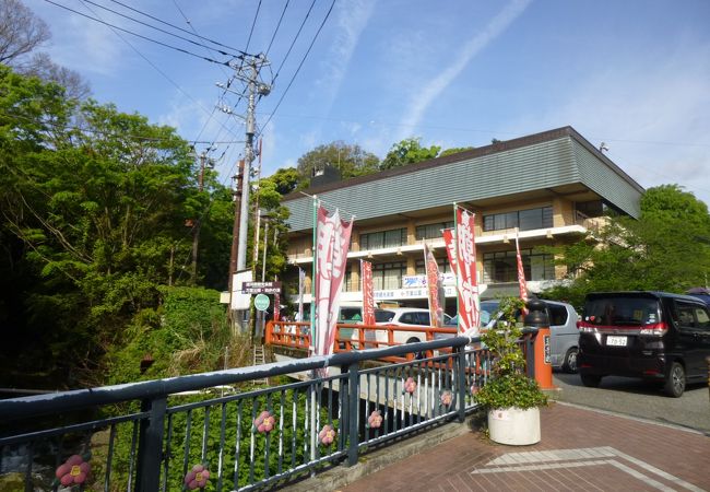 日曜観光朝市