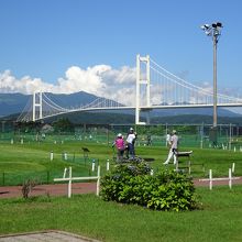 道の駅横のパークゴルフ場から見た白鳥大橋