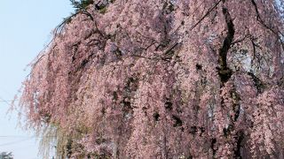 「優雅」と言う言葉がぴったり