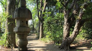 洋館と和館が建っています