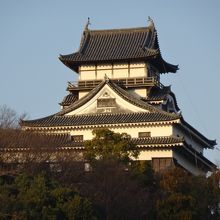 ふもとからのお城