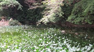 工事中だが入館料は払う