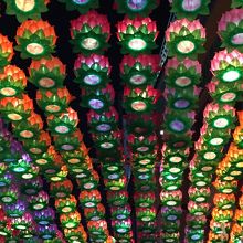 釜山タワー前の階段の途中にあった桃のランタン