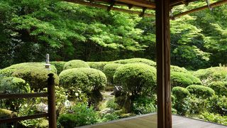 ５月15日。詩仙堂のツツジは咲いていませんでした。