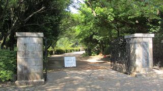 雑木林が残っています