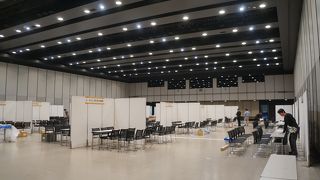 これなら何をやっても映えそうな感じ