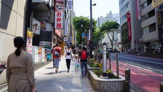 美しい緑の並木もけっこう見どころかなと思います