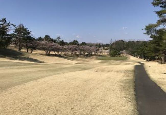 仙台市内からのアクセスもよし