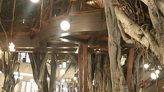 新店舗続々オープン