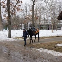 愛馬と男性の係員　とても親切な係員でした