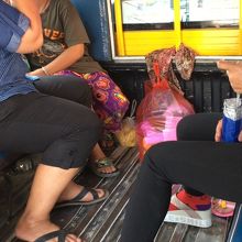 地元民がほとんど