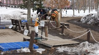 乗馬体験がお勧め