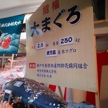 大まぐろは圧巻