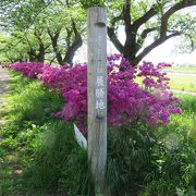 北上川沿いの市立公園