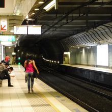 このトンネルのすぐ先は国内線ターミナル駅