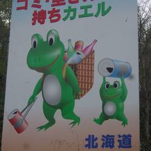 可愛らしい親子のカエルさんがデザインされています