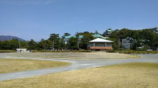 ちびちゃんと鬼ごっこ