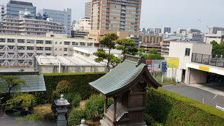 見下ろすだけ・・