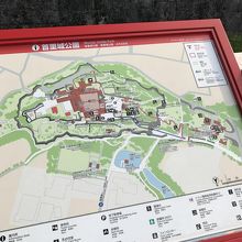 公園は広いです