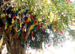 仏陀の生誕地ルンビニ