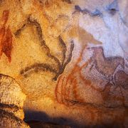 精巧なレプリカの洞窟壁画を堪能できる