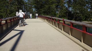 回っているところが見たい。