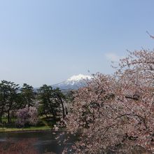 弘前城から見た岩木山