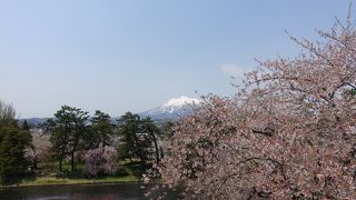 弘前城からの絶景