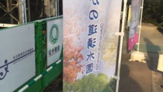 日本的な美しさが凝縮