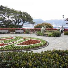 庭の花壇がいつもきれいです