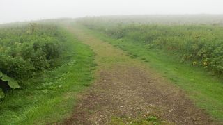 遊歩道がありましたが霧で進めません