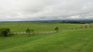 晴れたので地平線らしきは見えました