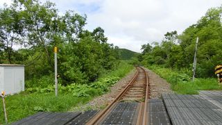 レンタカーの旅ですが釧網本線には何度か並走しました