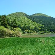 箱根で湿原トレッキング