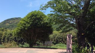 さくらの季節には