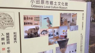 貴重な資料も多いです