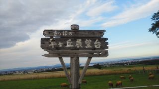 牧歌的な光景が広がる（羊ケ丘展望台）