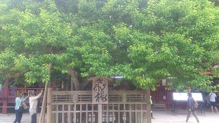 時機を逃してしまうと……