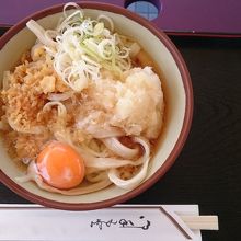 冷おろしうどん